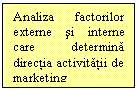 Text Box: Analiza factorilor externe si interne care determina directia activitatii de marketing